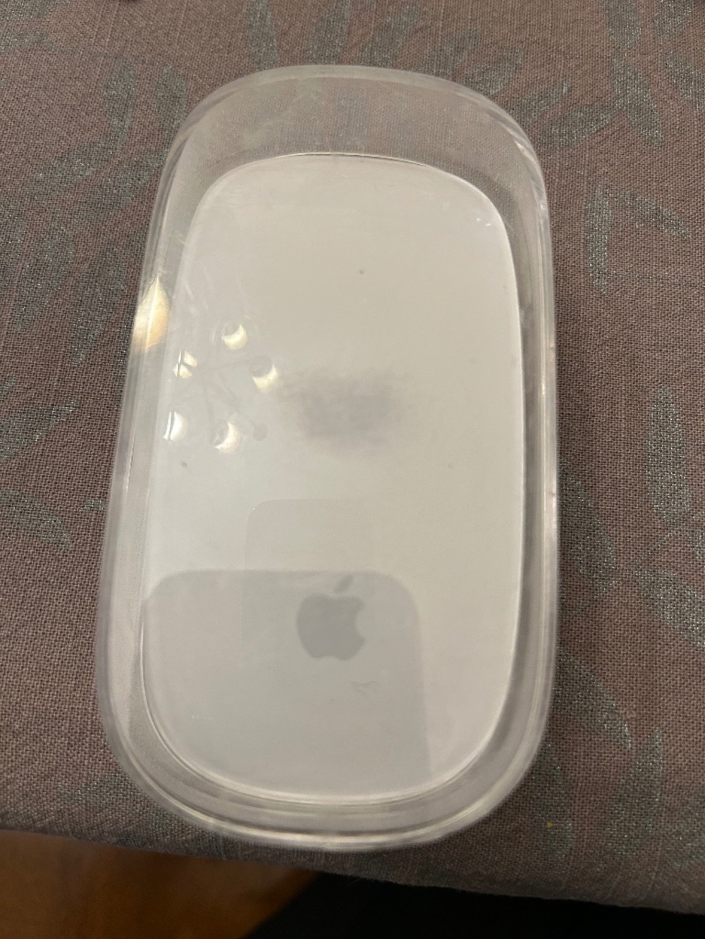 Apple Mouse